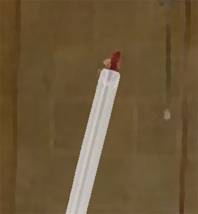 私の蟲姦遊び 19話 妊娠中に2匹のゴキブリの幼虫編 サンプル 5