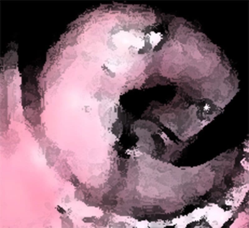 私の蟲姦遊び 19話 妊娠中に2匹のゴキブリの幼虫編 サンプル 8