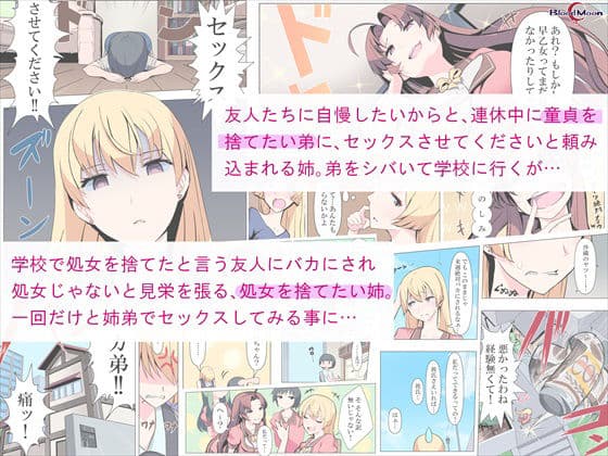 お姉ちゃんお願い！1回でいいからセックスさせて！ サンプル 1