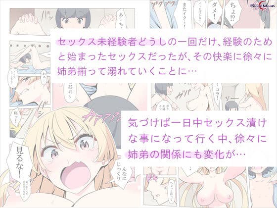 お姉ちゃんお願い！1回でいいからセックスさせて！ サンプル 2