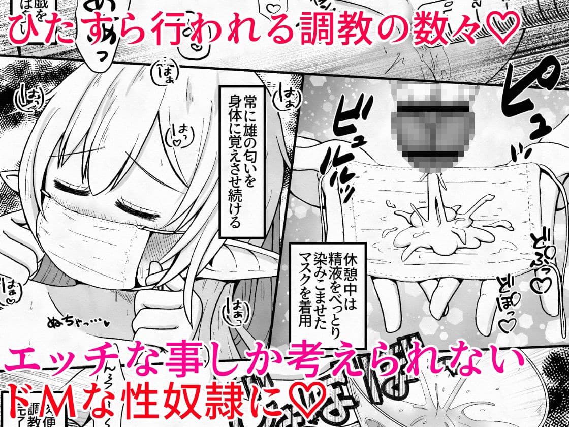 エルフの女の子を騙して誘拐し性奴●に調教するお話 サンプル 8
