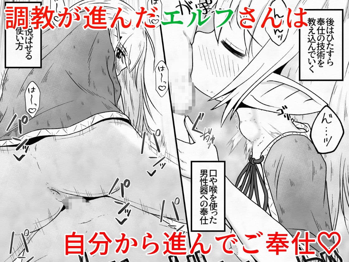 エルフの女の子を騙して誘拐し性奴●に調教するお話 サンプル 9