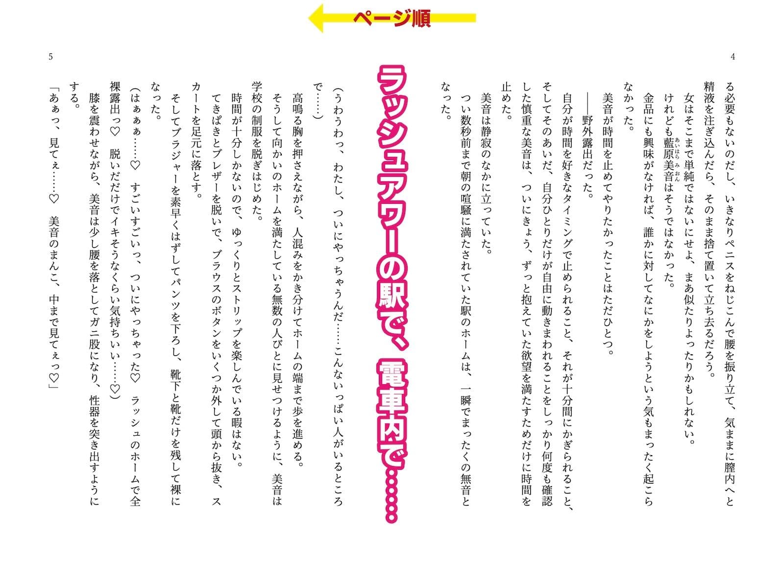 時間停止能力を手に入れて露出オナニーを満喫してたら人生終了しちゃった話 サンプル 2