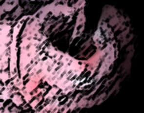 私の蟲姦遊び 20 話 妊娠中に5匹のワラジムシ編 サンプル 5