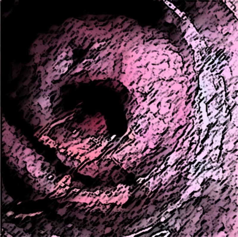 私の蟲姦遊び 20 話 妊娠中に5匹のワラジムシ編 サンプル 6