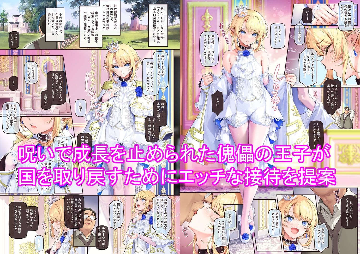 異世界オトコノコ王子従順隷奴〜呪いで成長が止まった王子を弄びメス堕ちさせる〜 サンプル 1