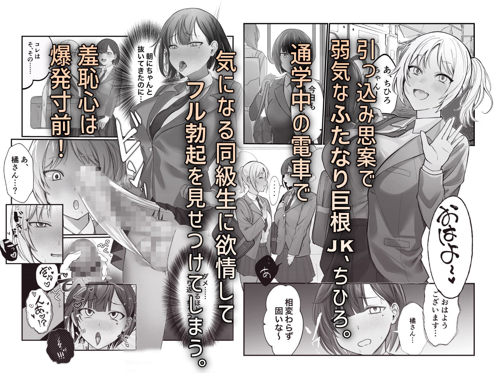 ふたなりちんぽ見られたらセフレができた サンプル 1