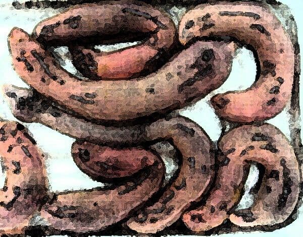 私の蟲姦遊び 21 話 妊娠中に3匹のユムシ編 全編 サンプル 2