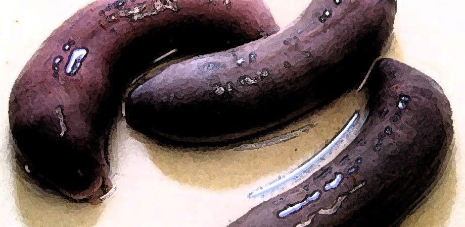 私の蟲姦遊び 21 話 妊娠中に3匹のユムシ編 全編 サンプル 3