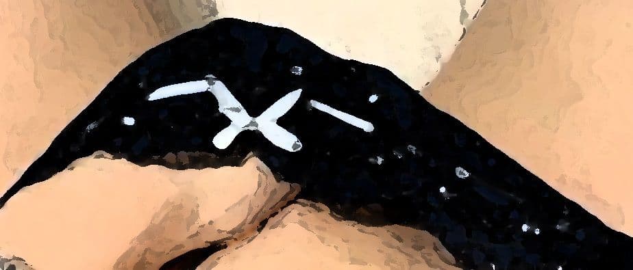 私の蟲姦遊び 22話 妊娠中にハサミムシ編 全編 サンプル 1