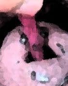 私の蟲姦遊び 22話 妊娠中にハサミムシ編 全編 サンプル 3