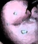 私の蟲姦遊び 22話 妊娠中にハサミムシ編 全編 サンプル 6