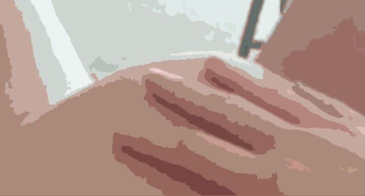 私の蟲姦遊び 23話 妊娠中に1匹のカメムシ編 全編 サンプル 2