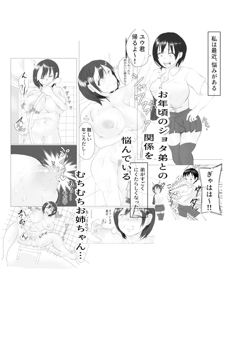 悩めるお姉ちゃんと、ショタ○キ サンプル 1
