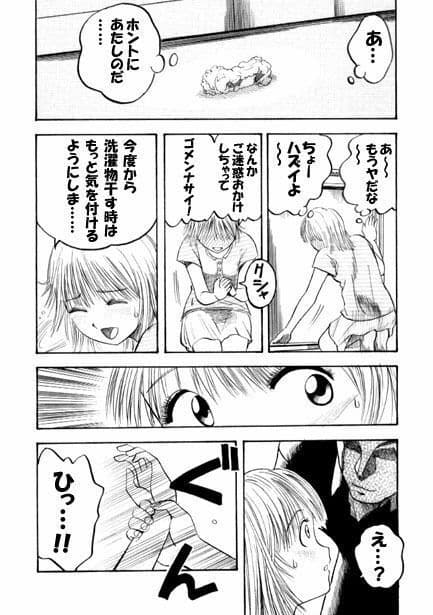 ブービートラップ サンプル 3