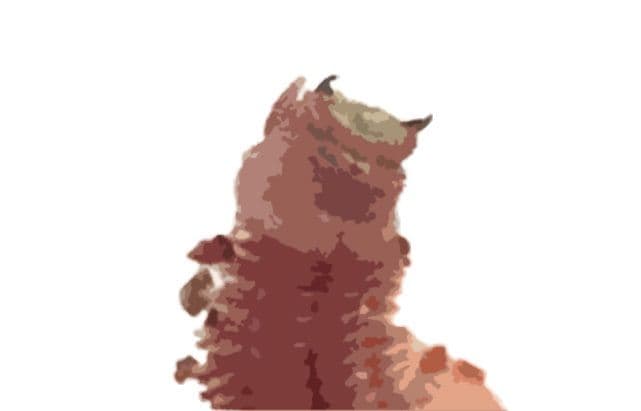 私の蟲姦遊び 24話 妊娠中に釣り餌のアオイソメ編 サンプル 2