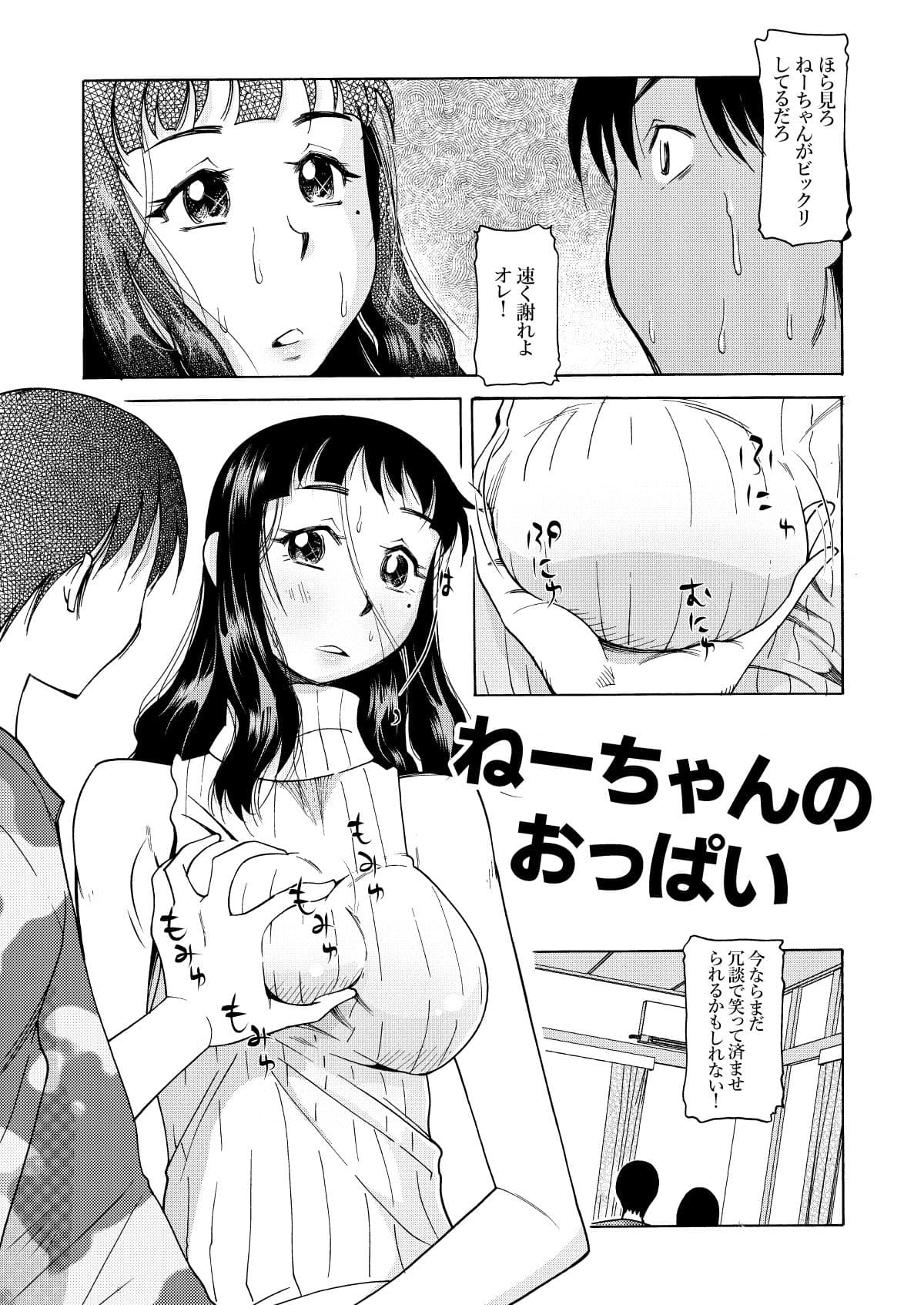 ねーちゃんのおっぱい サンプル 2