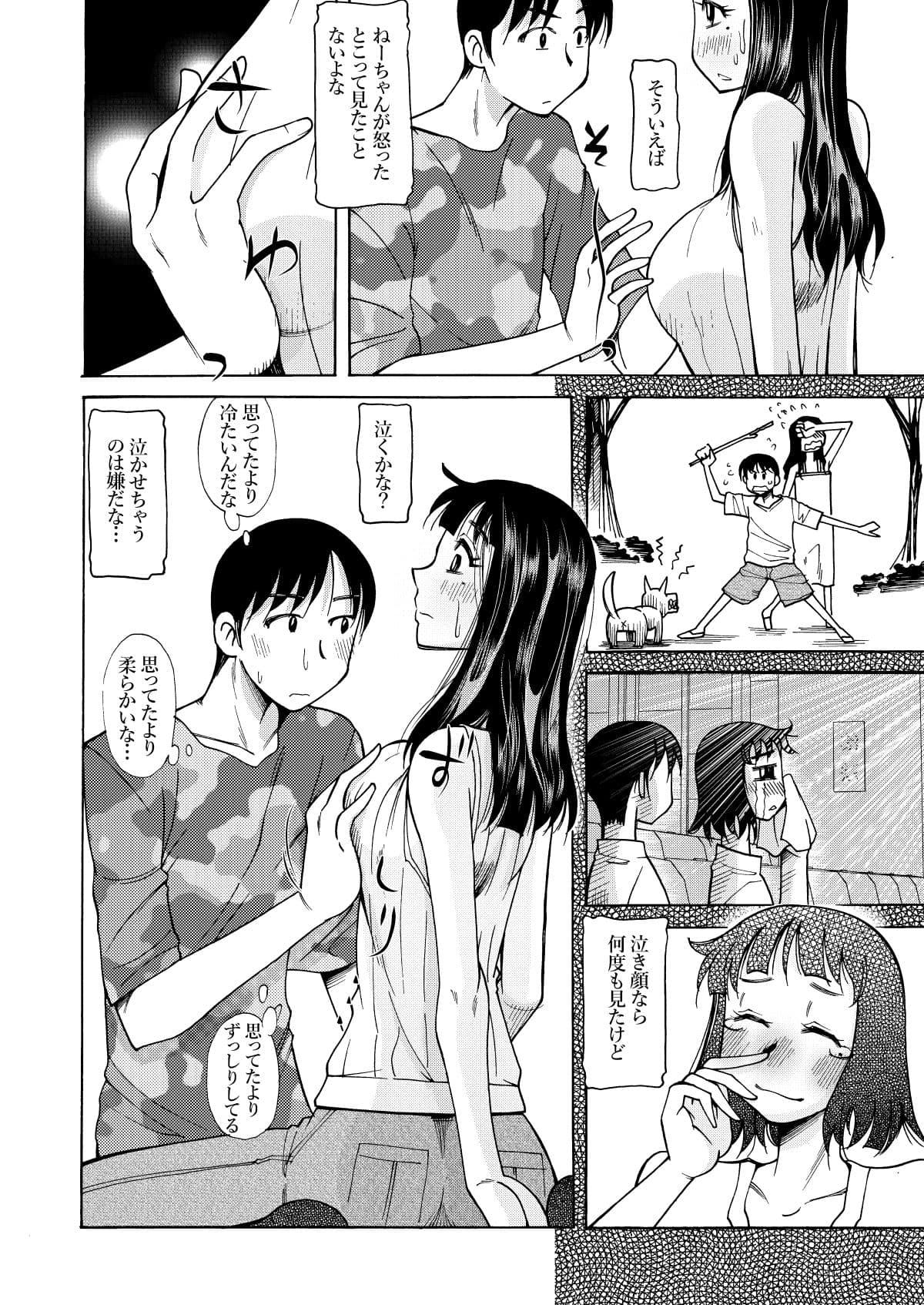 ねーちゃんのおっぱい サンプル 3