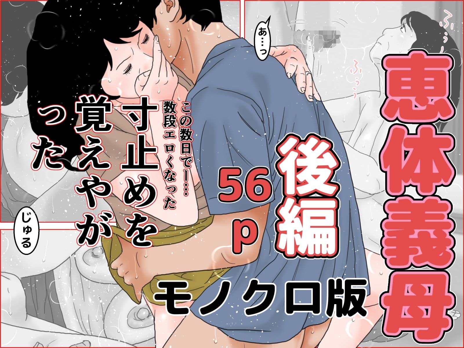 恵体義母 モノクロバージョン サンプル 3