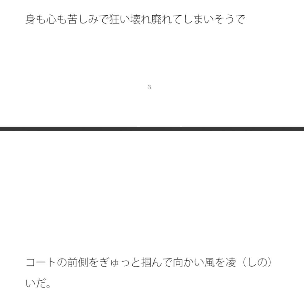 自伝ではないが・・・・台風の中のルービックキューブ サンプル 1