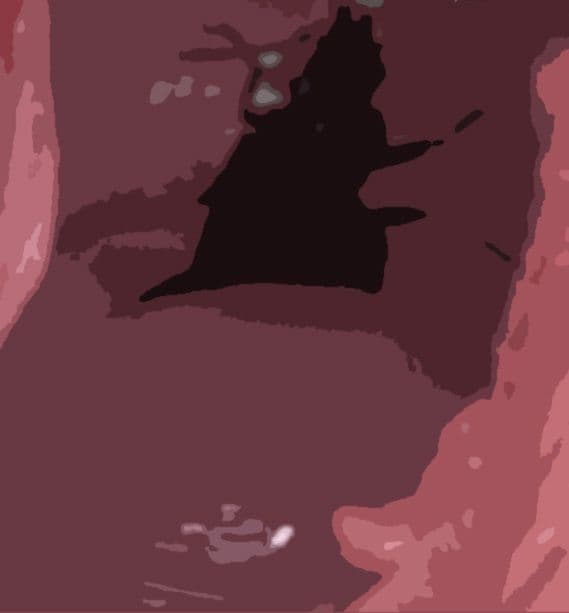 私の蟲姦遊び 25話 妊娠中にベランダにいたゴミムシ編 サンプル 3