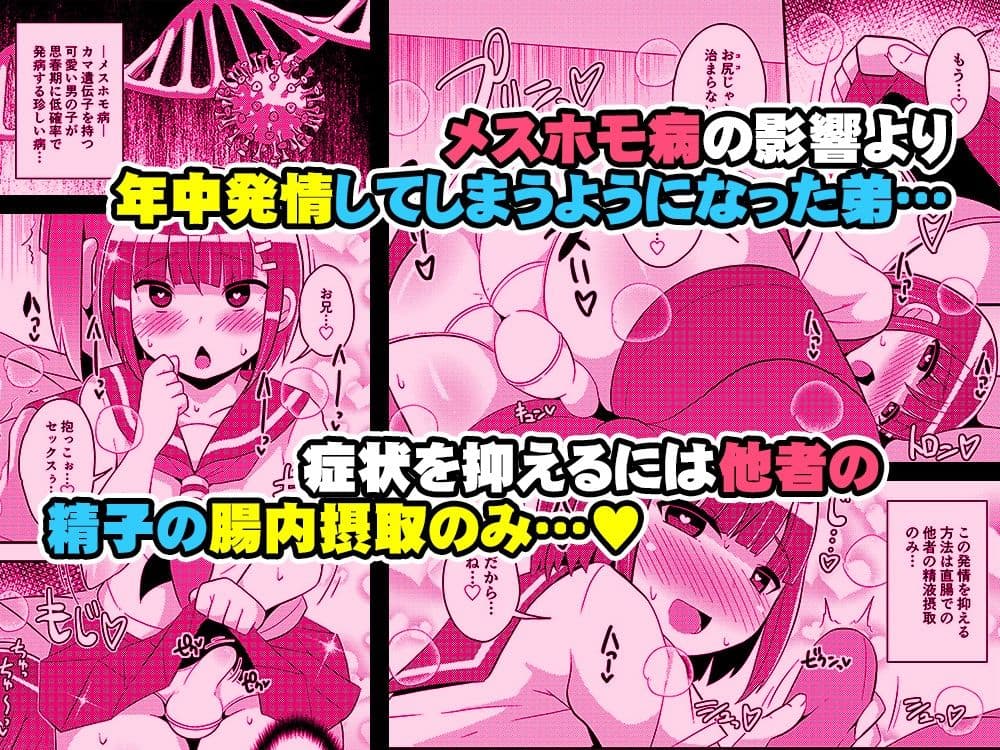 発情弟（オカマ）の性処理係 サンプル 1