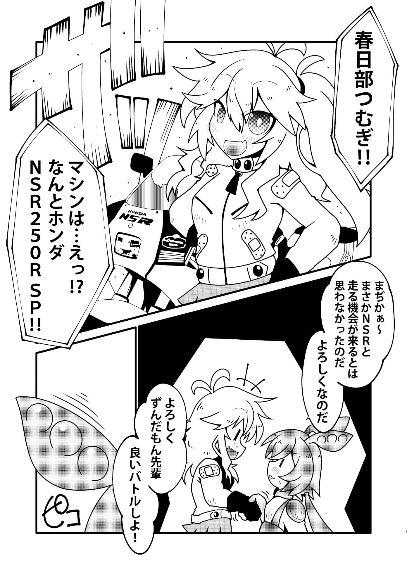 バイカロイズ紬 サンプル 2