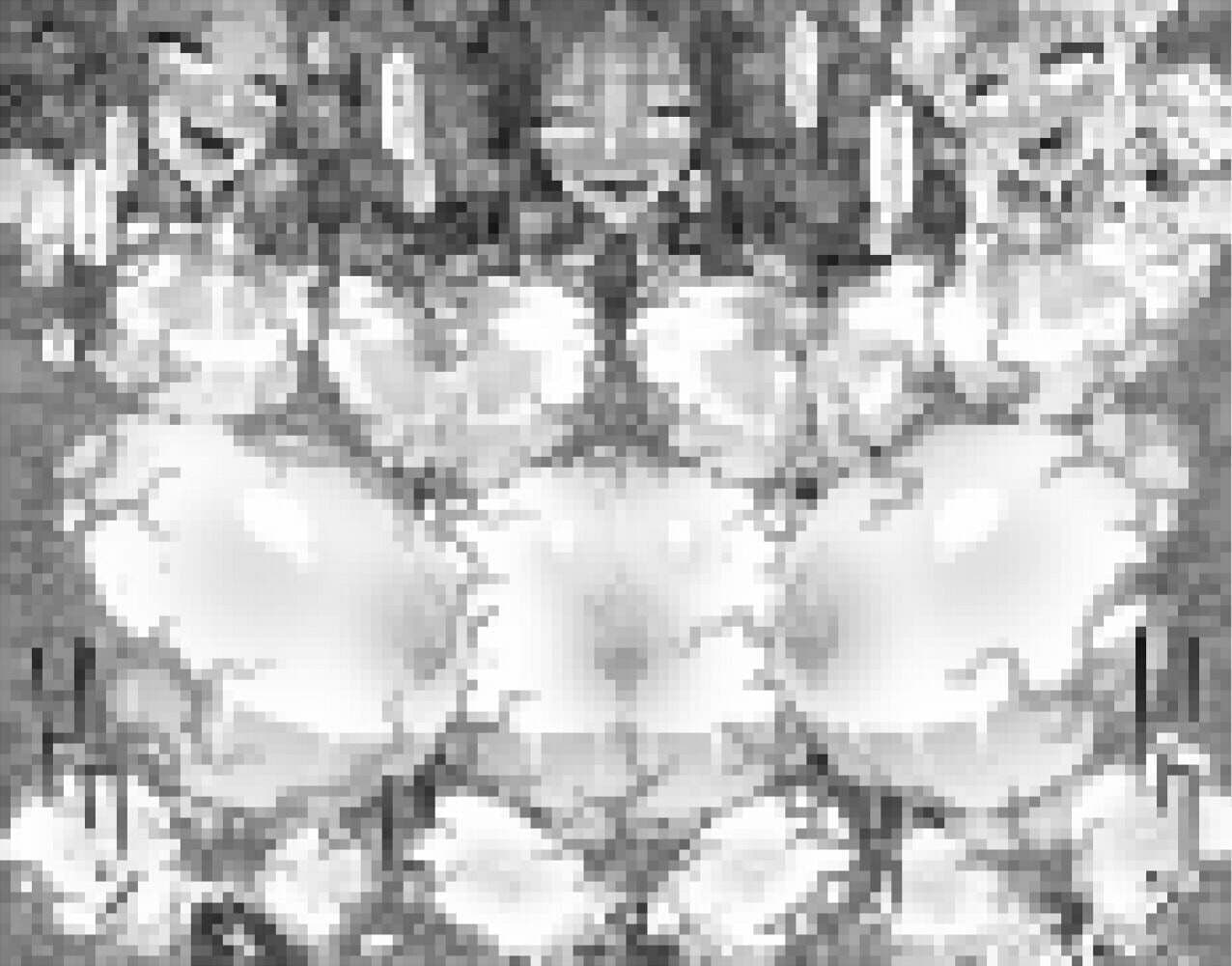 Re Notice: End of App Service サンプル 4