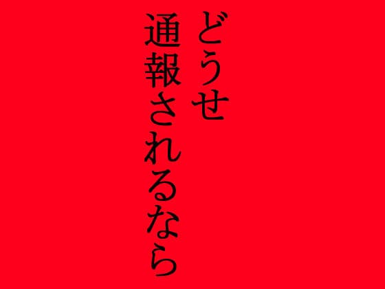 江戸から明治の時代のはざまで、窃盗に侵入した男に、未亡人の女は犯●れて・・・ サンプル 6