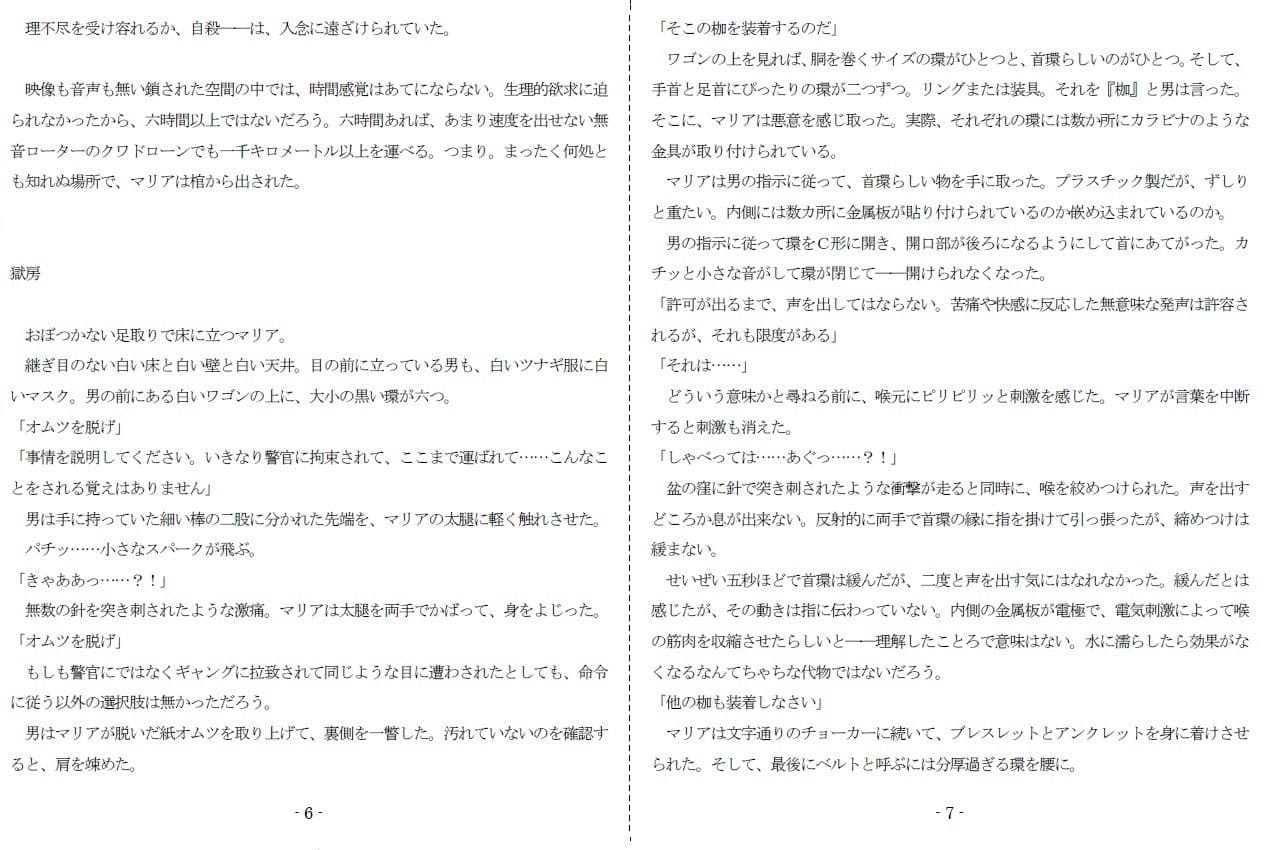 Saducation 2084 サンプル 4