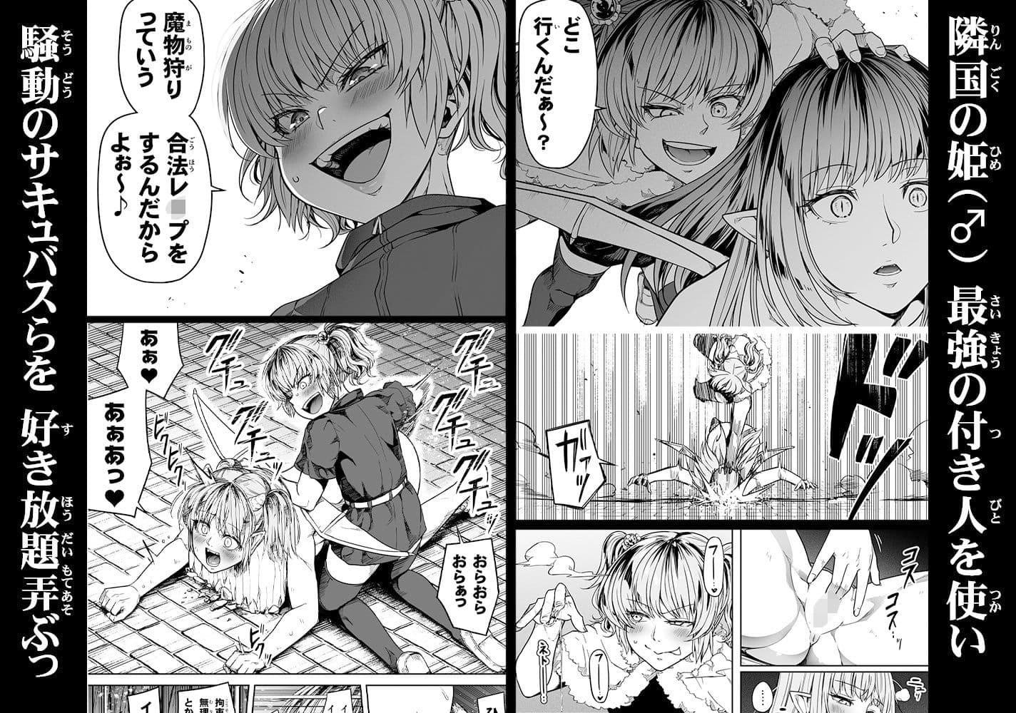 力あるサキュバスは性欲を満たしたいだけ 13 サンプル 1