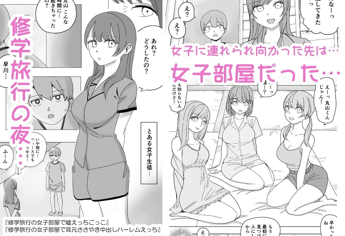 【総集編】ハーレムえっち修学旅行 サンプル 1