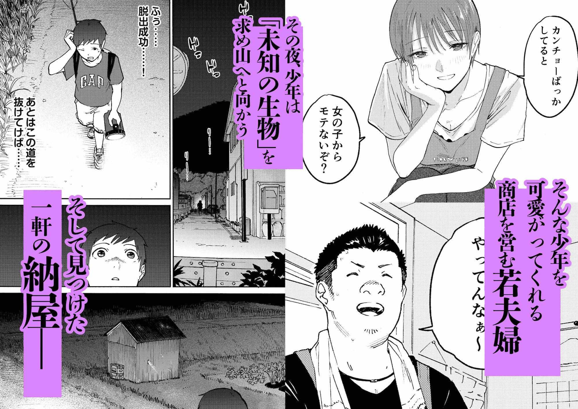 あの納屋 〜ぼくが見たことないおばさんの夜の姿〜 サンプル 2