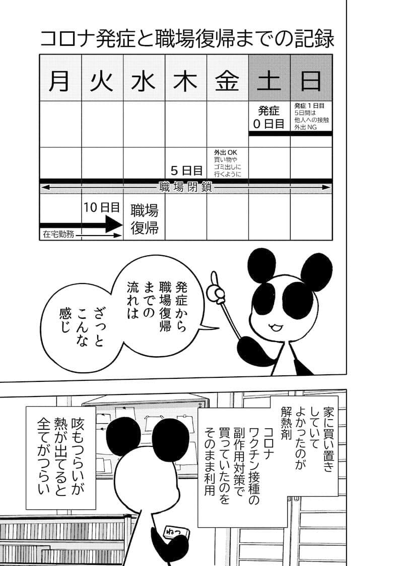 コロナウイルスと過ごす日常〜コロナになったよ記録〜 サンプル 6