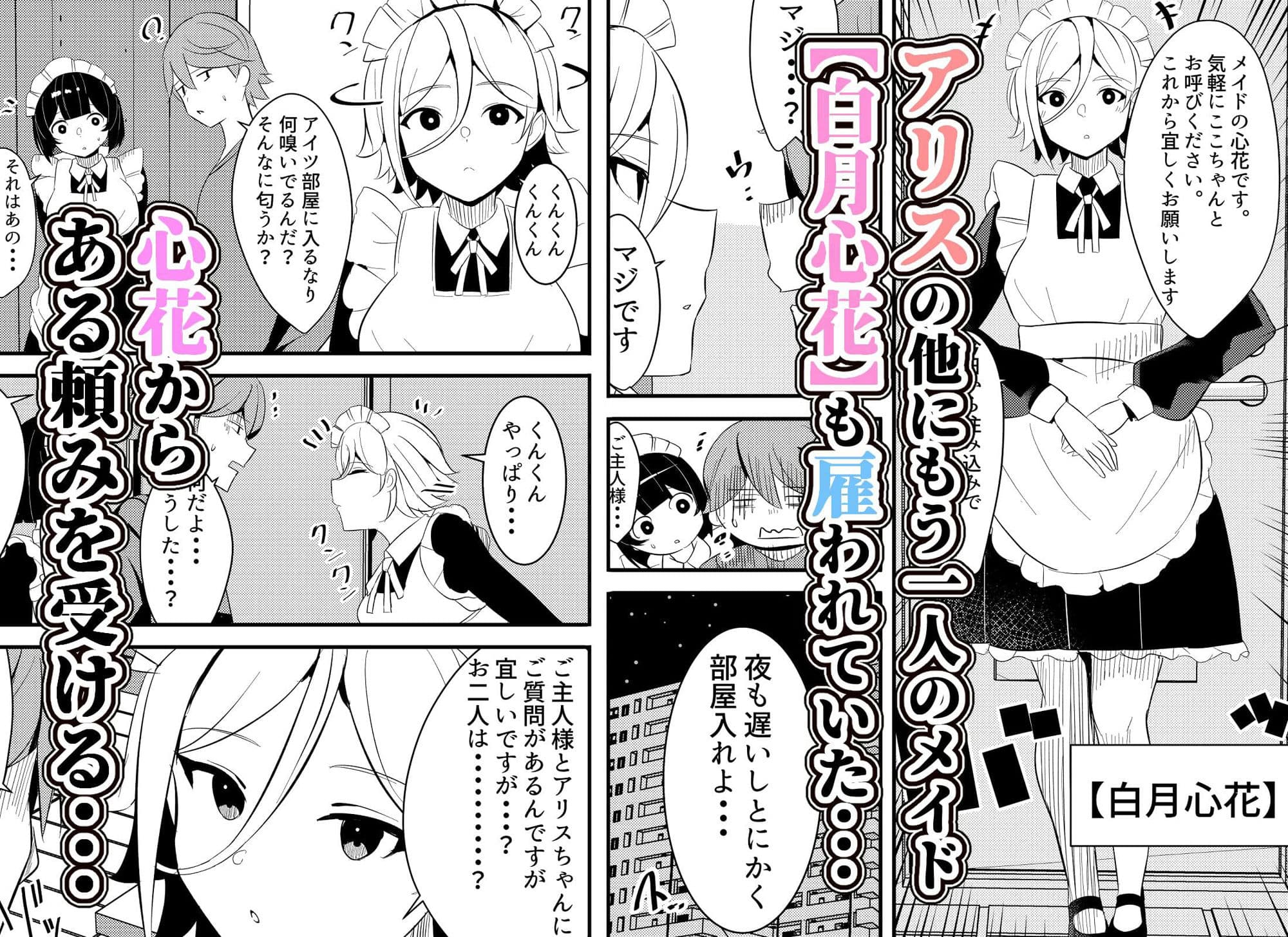 メイドちゃんと一緒。ご主人様とご奉仕メイドのヤリまくり性活2 サンプル 2