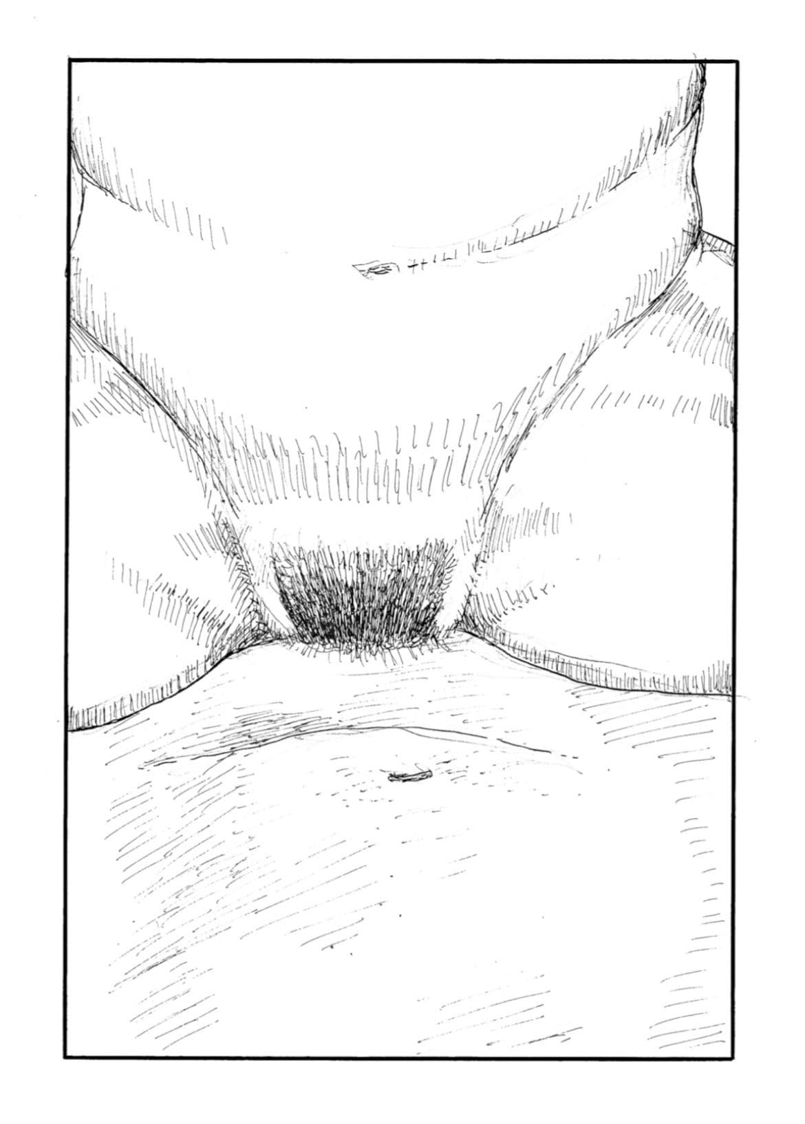 ちんぽの生えた巨乳女と挿入即射精の中出しSEX サンプル 4