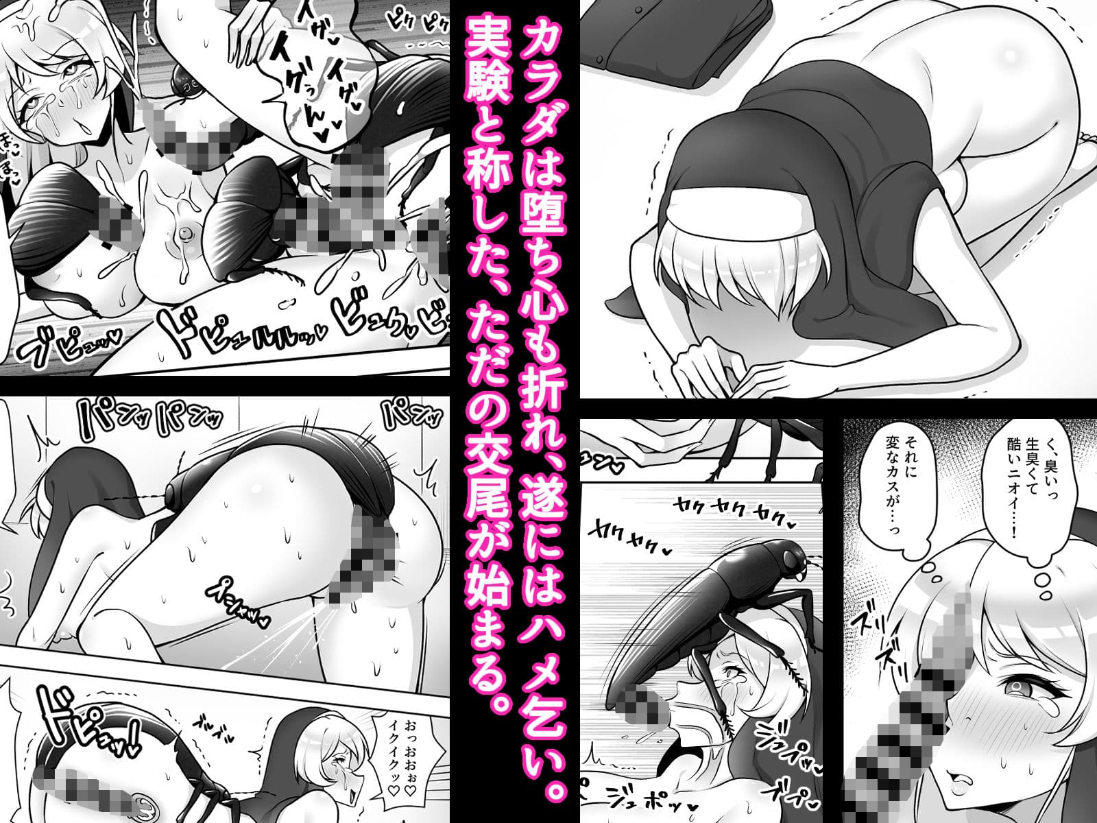 昆蟲研究所2 サンプル 6