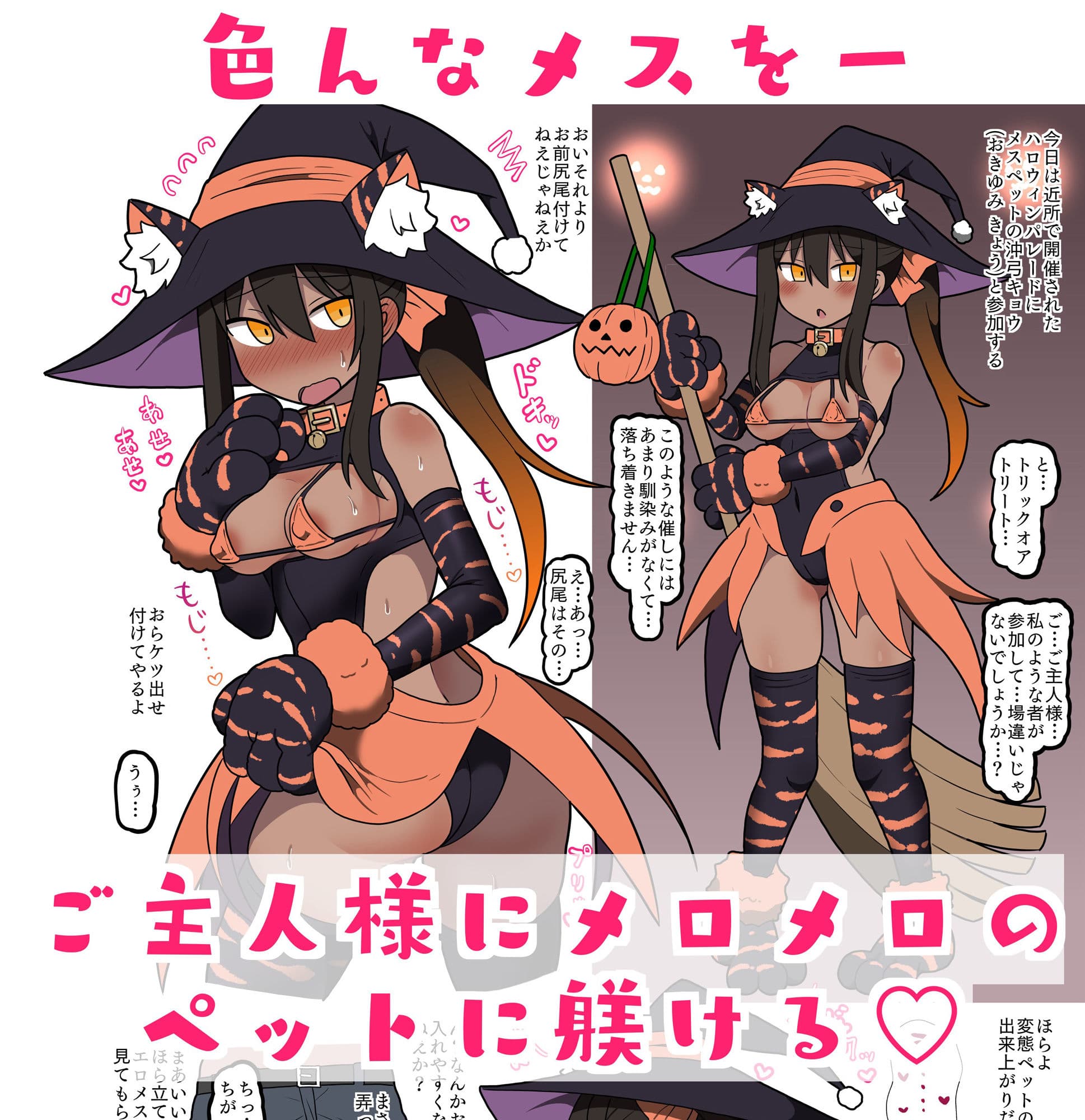 メスペットシリーズ総集編vol.3 サンプル 1