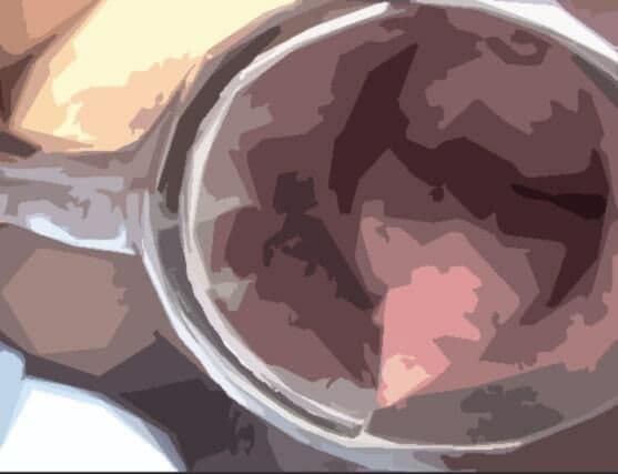 私の蟲姦遊び 26話 妊娠中に息子の部屋にいたゴキブリと卵編 サンプル 7