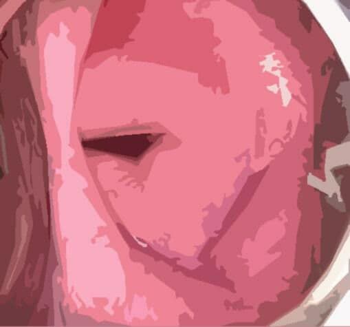 私の蟲姦遊び 26話 妊娠中に息子の部屋にいたゴキブリと卵編 サンプル 8