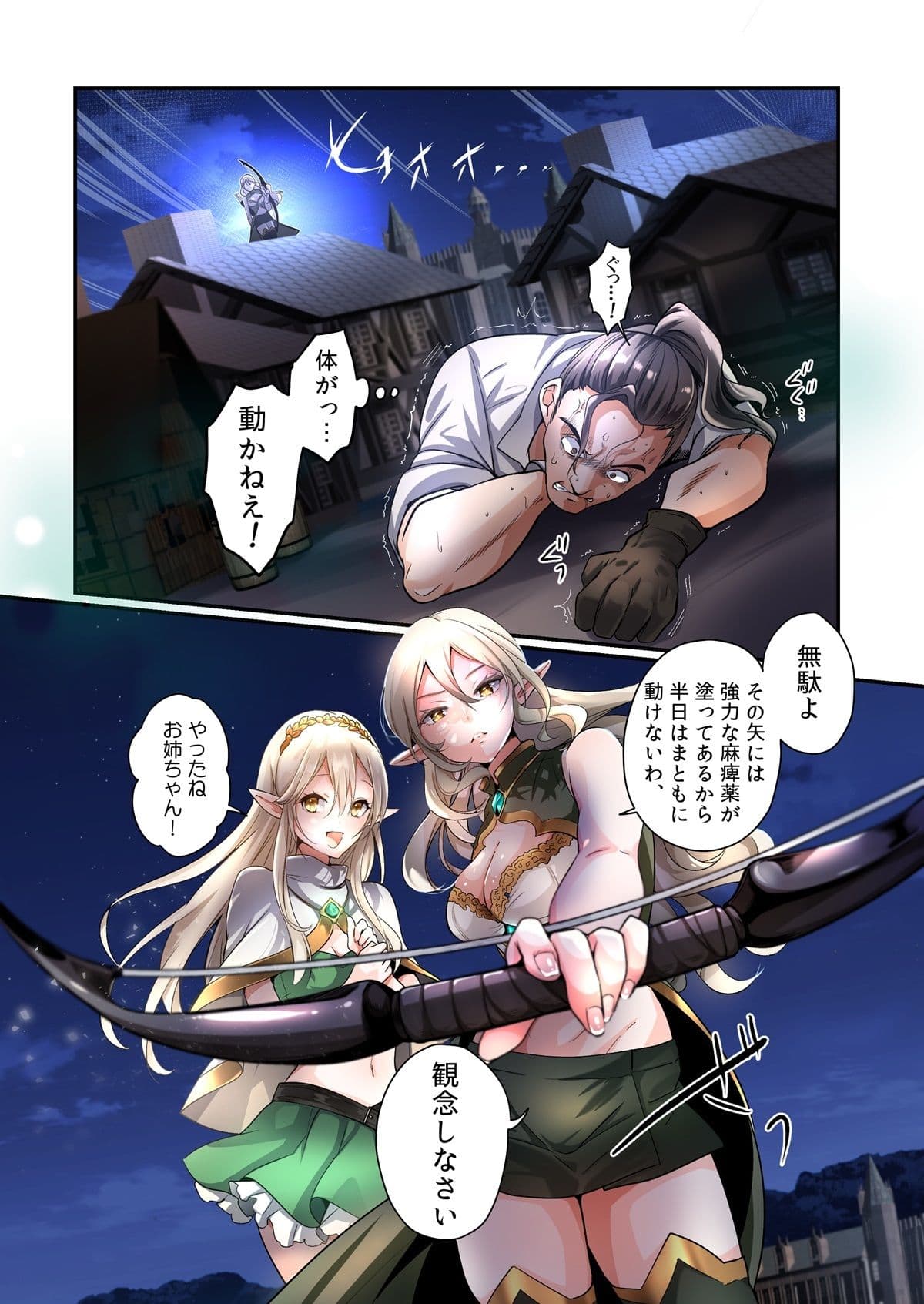 盗賊、エルフを盗む サンプル 1