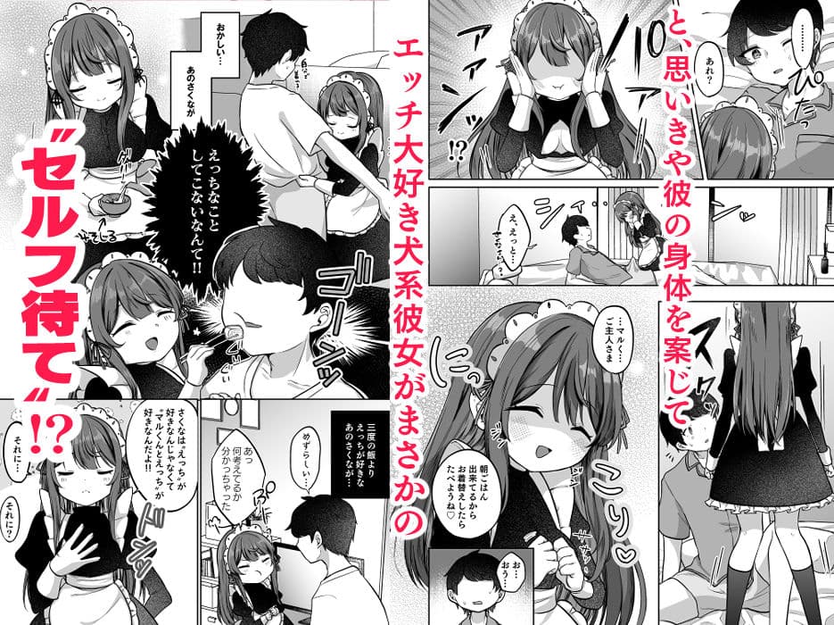 望月さくなは「待て」がデキない！3〜ご奉仕えっち編〜 サンプル 2