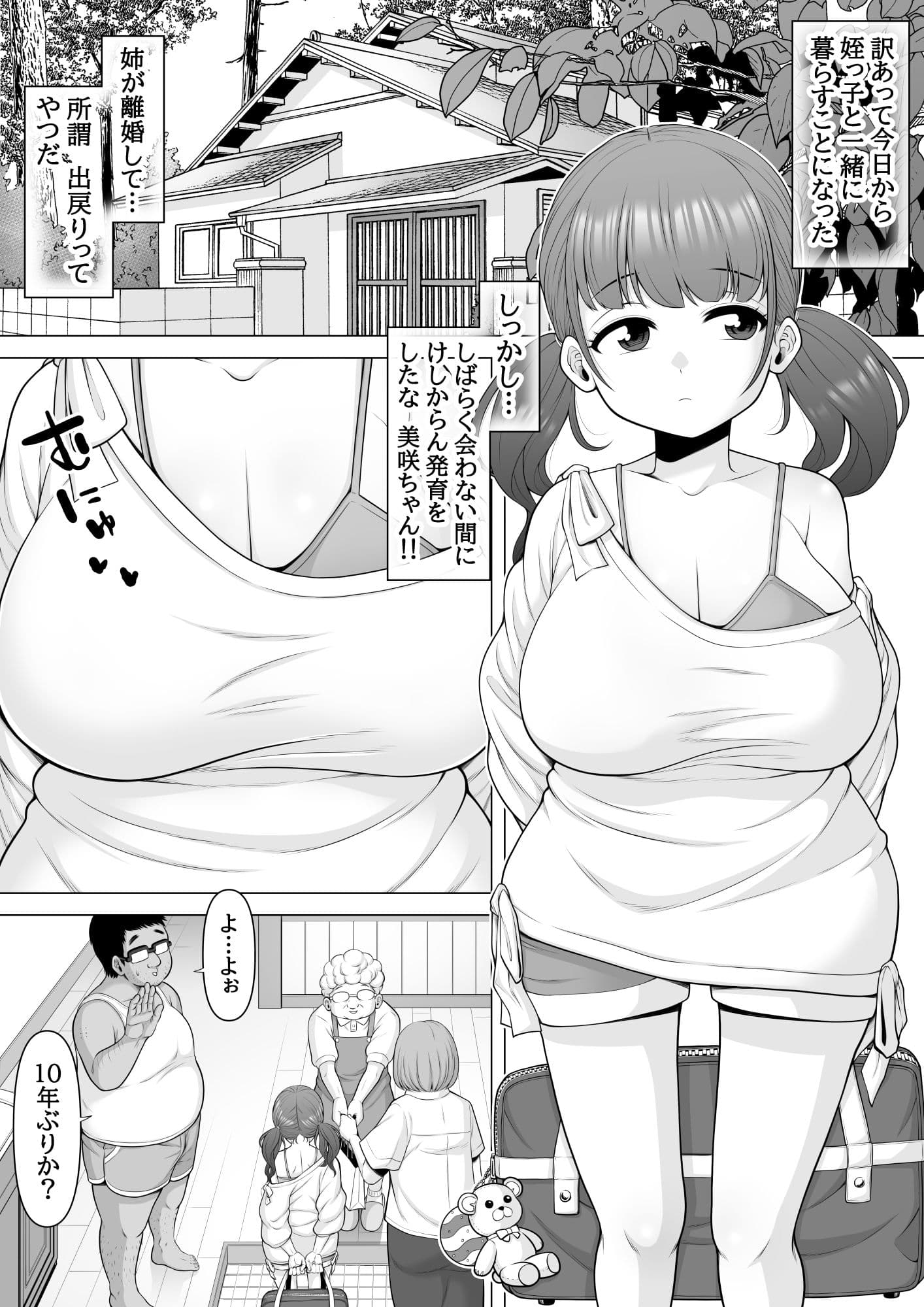 10年ぶりに会った巨乳メス○キ姪っ子が俺をバカにしてきたのでお仕置き睡眠姦レ●プしちゃいました サンプル 2