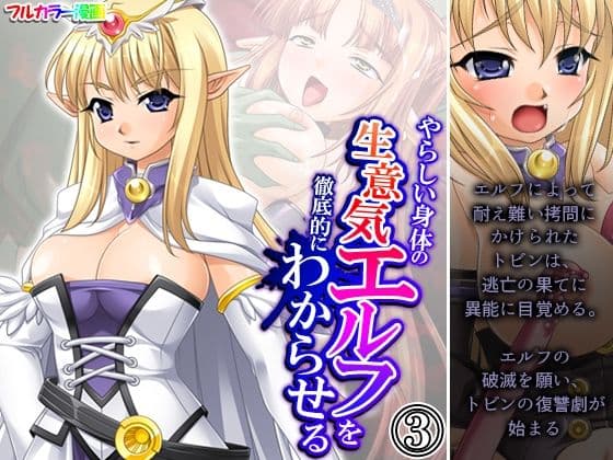 やらしい身体の生意気エルフを徹底的にわからせる 3巻