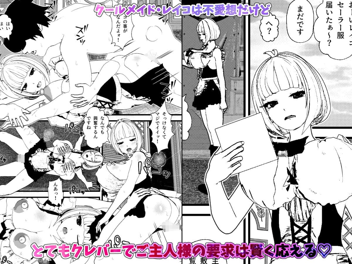 無表情クールメイドさんはセックスの要求を想像以上の献身性で叶えてくれる！ サンプル 1