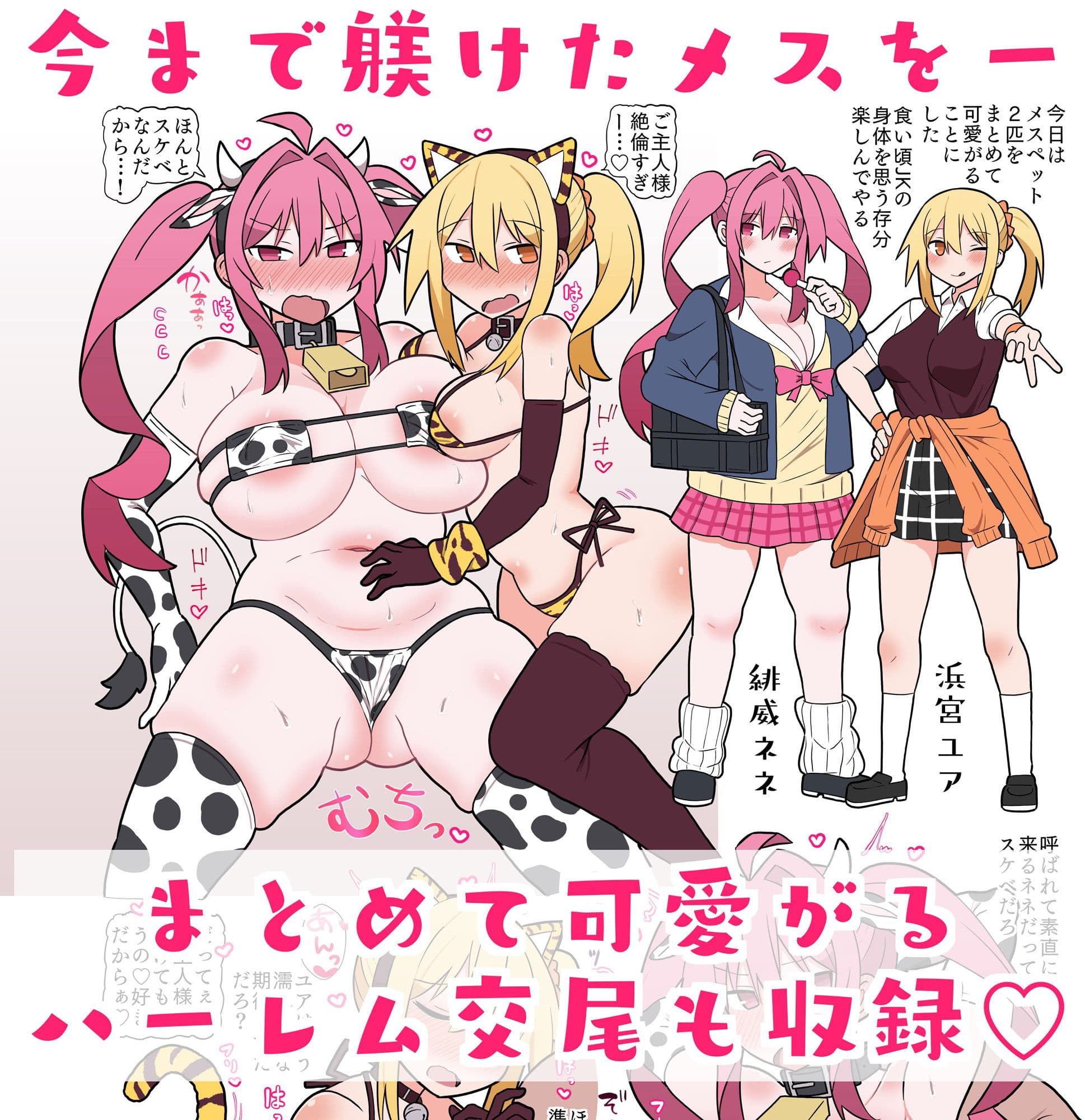 メスペットシリーズ総集編vol.4 サンプル 2