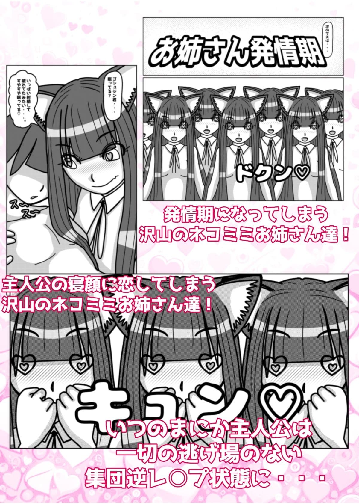 ネコミミお姉さんを集めるゲームでハーレムを作ったつもりが集団逆レ○プされてラブラブ監禁される話 サンプル 3