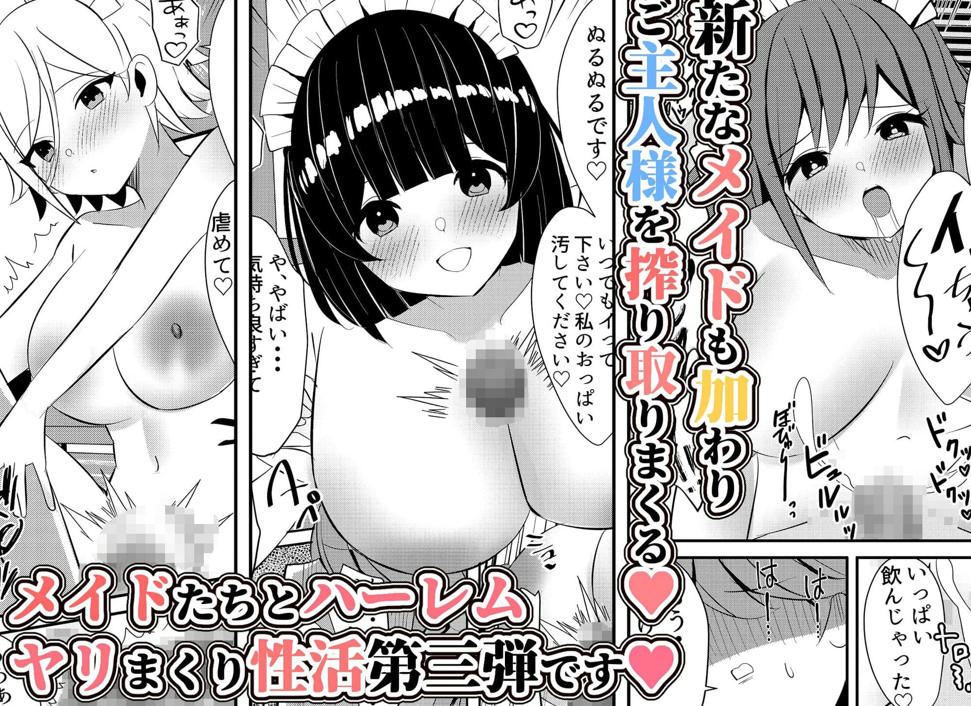 メイドちゃんと一緒。ご主人様とご奉仕メイドのヤリまくり性活3 サンプル 6