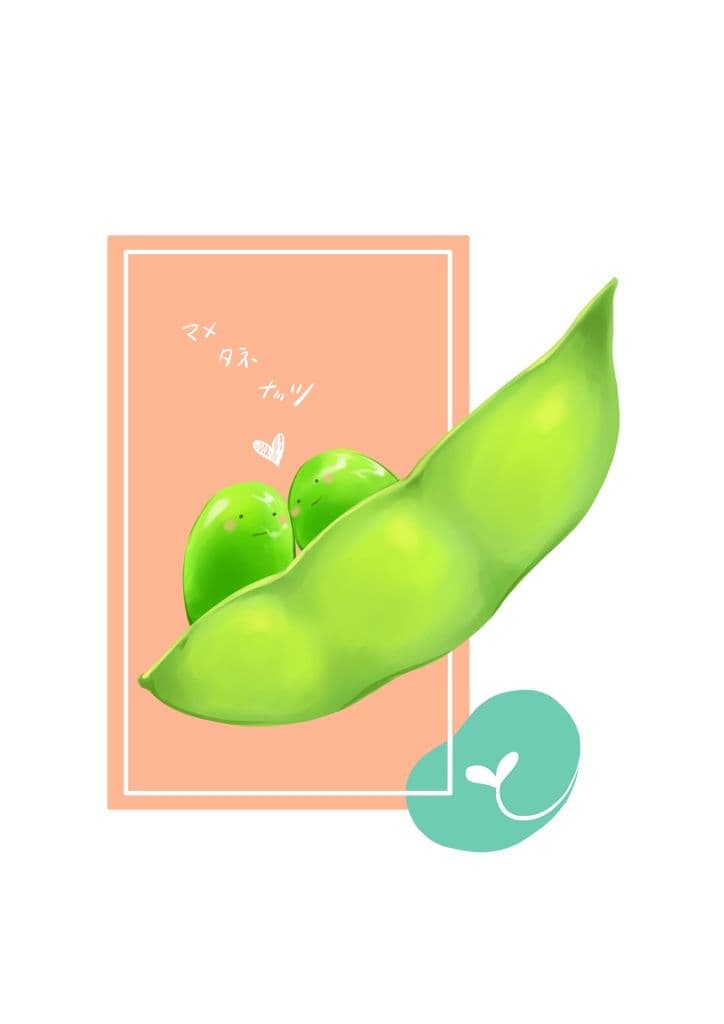 マメタネナッツ サンプル 8