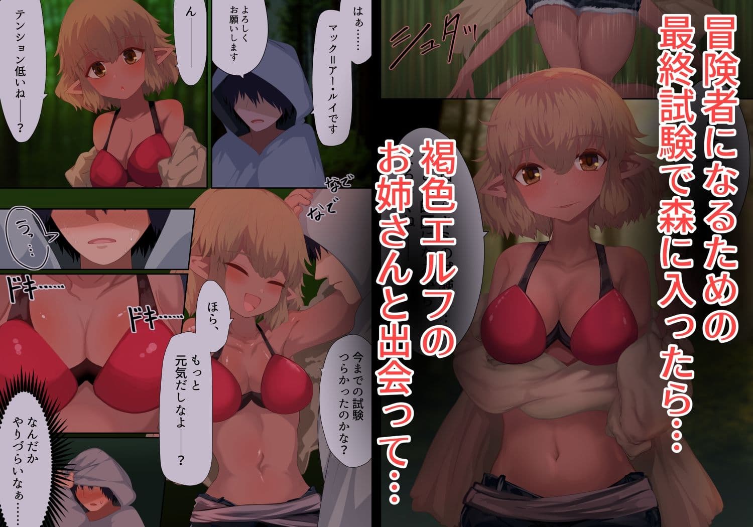 褐色エルフがボクを狂わせる サンプル 1